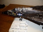 k-F-14 Tomcat (10).JPG

251,72 KB 
640 x 480 
18.03.2009
